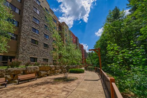 Tiny photo for 2411 River Road 2251 #2251, Wisconsin Dells, WI 53965 (MLS # 2010546)