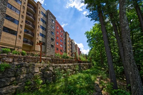 Tiny photo for 2411 River Road 2251 #2251, Wisconsin Dells, WI 53965 (MLS # 2010546)