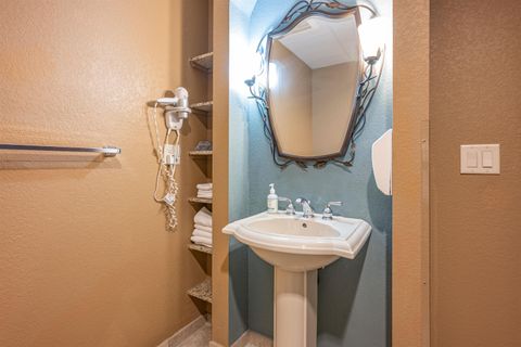 Tiny photo for 2411 River Road 2251 #2251, Wisconsin Dells, WI 53965 (MLS # 2010546)