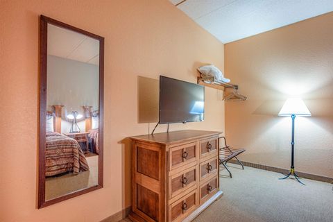 Tiny photo for 2411 River Road 2251 #2251, Wisconsin Dells, WI 53965 (MLS # 2010546)