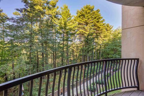Tiny photo for 2411 River Road 2251 #2251, Wisconsin Dells, WI 53965 (MLS # 2010546)