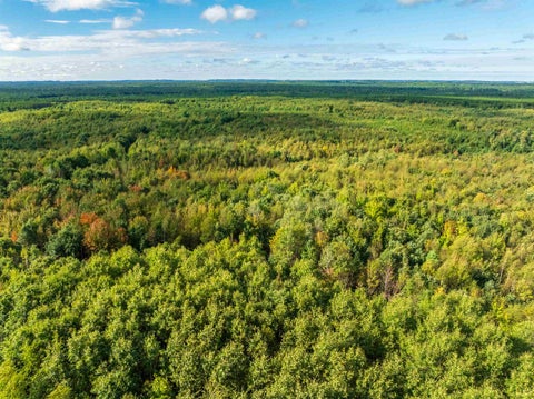 Photo of 204.74 AC Channey Rd Acres, Augusta, WI 54729 (MLS # 2033870)