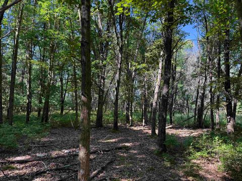 Tiny photo for 1.18 Acres Deer Run Road, Montello, WI 53949 (MLS # 2004462)