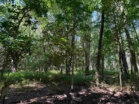 Tiny photo for 1.18 Acres Deer Run Road, Montello, WI 53949 (MLS # 2004462)