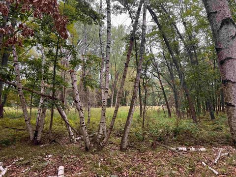 Tiny photo for 1.18 Acres Deer Run Road, Montello, WI 53949 (MLS # 2004462)