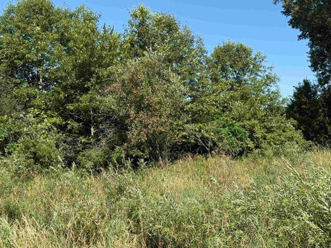 Tiny photo for 1.18 Acres Deer Run Road, Montello, WI 53949 (MLS # 2004462)