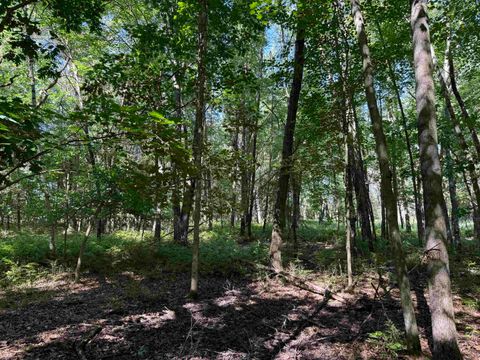 Tiny photo for 1.18 Acres Deer Run Road, Montello, WI 53949 (MLS # 2004462)