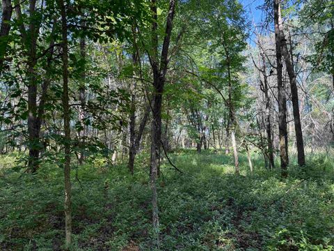 Tiny photo for 1.18 Acres Deer Run Road, Montello, WI 53949 (MLS # 2004462)
