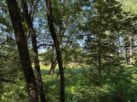 Tiny photo for 1.18 Acres Deer Run Road, Montello, WI 53949 (MLS # 2004462)