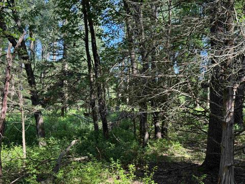 Tiny photo for 1.18 Acres Deer Run Road, Montello, WI 53949 (MLS # 2004462)
