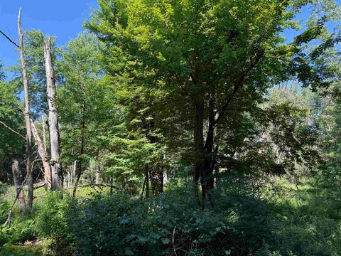 Tiny photo for 1.18 Acres Deer Run Road, Montello, WI 53949 (MLS # 2004462)