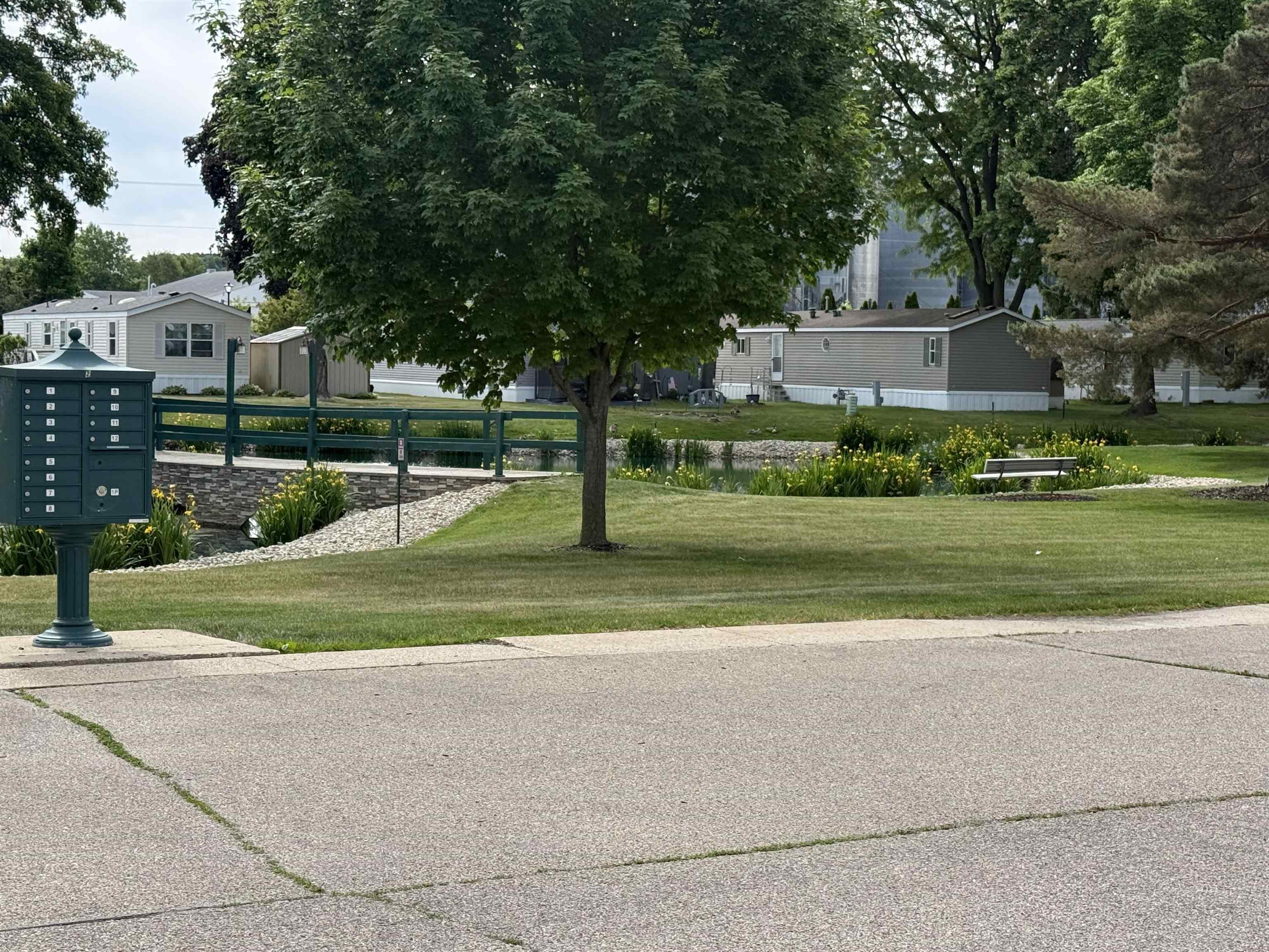 31 Maple Grove Avenue