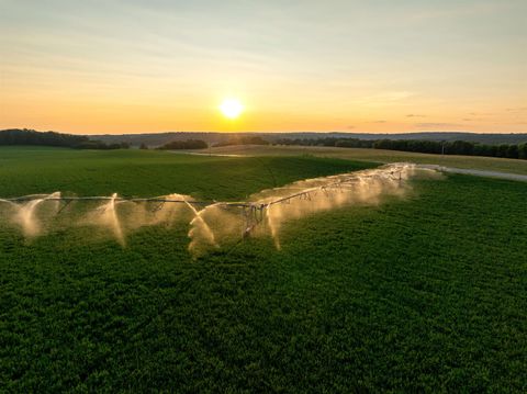 Tiny photo for 1,120.44Â± Acres Land Auction, Iola, WI 54945 (MLS # 2014107)