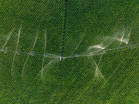 Tiny photo for 1,120.44Â± Acres Land Auction, Iola, WI 54945 (MLS # 2014107)