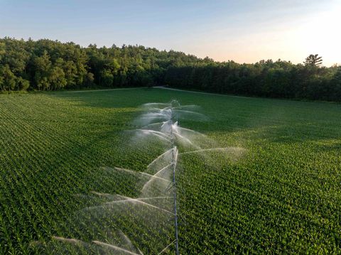 Tiny photo for 1,120.44Â± Acres Land Auction, Iola, WI 54945 (MLS # 2014107)