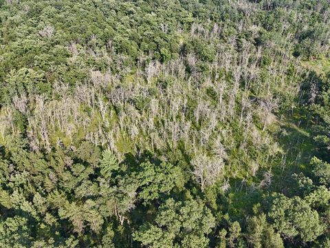 Tiny photo for 15 Acres m/l Highway 13, Friendship, WI 53934 (MLS # 2005609)