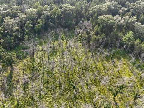 Tiny photo for 15 Acres m/l Highway 13, Friendship, WI 53934 (MLS # 2005609)