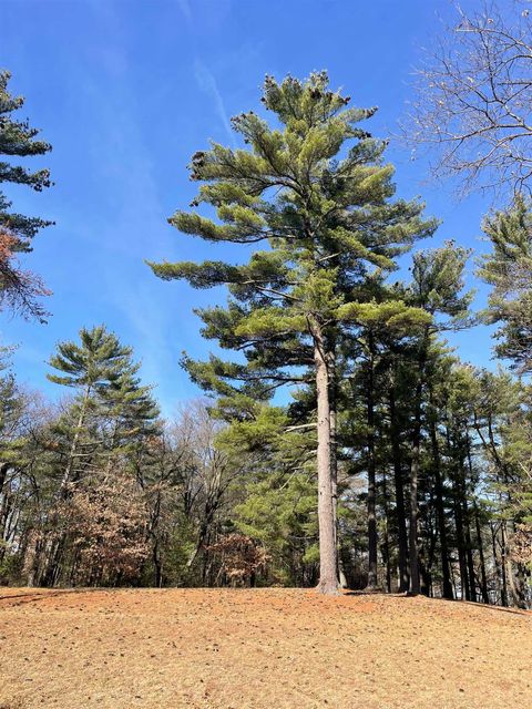 Tiny photo for Lot 46 18th, Arkdale, WI 54613 (MLS # 1972863)