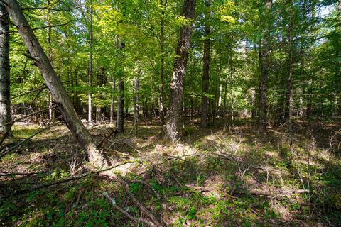 Tiny photo for Lot 46 18th, Arkdale, WI 54613 (MLS # 1972863)