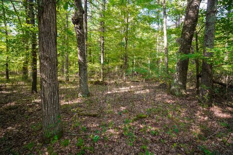 Tiny photo for Lot 46 18th, Arkdale, WI 54613 (MLS # 1972863)