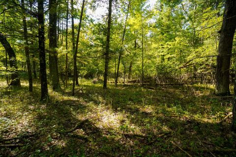 Tiny photo for Lot 46 18th, Arkdale, WI 54613 (MLS # 1972863)
