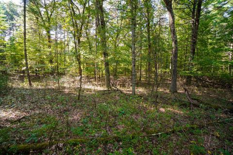 Tiny photo for Lot 46 18th, Arkdale, WI 54613 (MLS # 1972863)