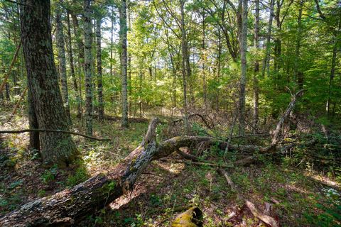 Tiny photo for Lot 46 18th, Arkdale, WI 54613 (MLS # 1972863)