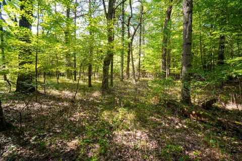 Tiny photo for Lot 46 18th, Arkdale, WI 54613 (MLS # 1972863)