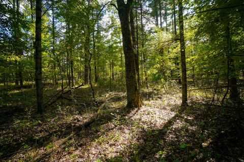 Tiny photo for Lot 46 18th, Arkdale, WI 54613 (MLS # 1972863)