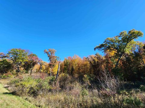 Tiny photo for 79.95 AC County Road FF, Hancock, WI 54943 (MLS # 1992126)