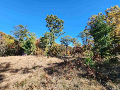 Tiny photo for 79.95 AC County Road FF, Hancock, WI 54943 (MLS # 1992126)