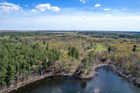 Tiny photo for 79.95 AC County Road FF, Hancock, WI 54943 (MLS # 1992126)