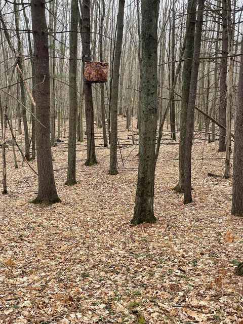 Tiny photo for 79.95 AC County Road FF, Hancock, WI 54943 (MLS # 1992126)