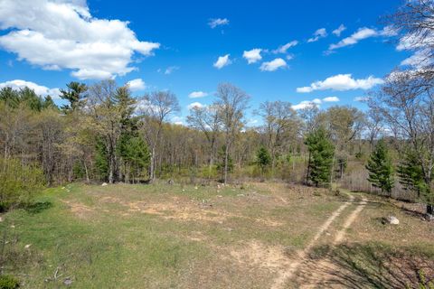 Tiny photo for 79.95 AC County Road FF, Hancock, WI 54943 (MLS # 1992126)