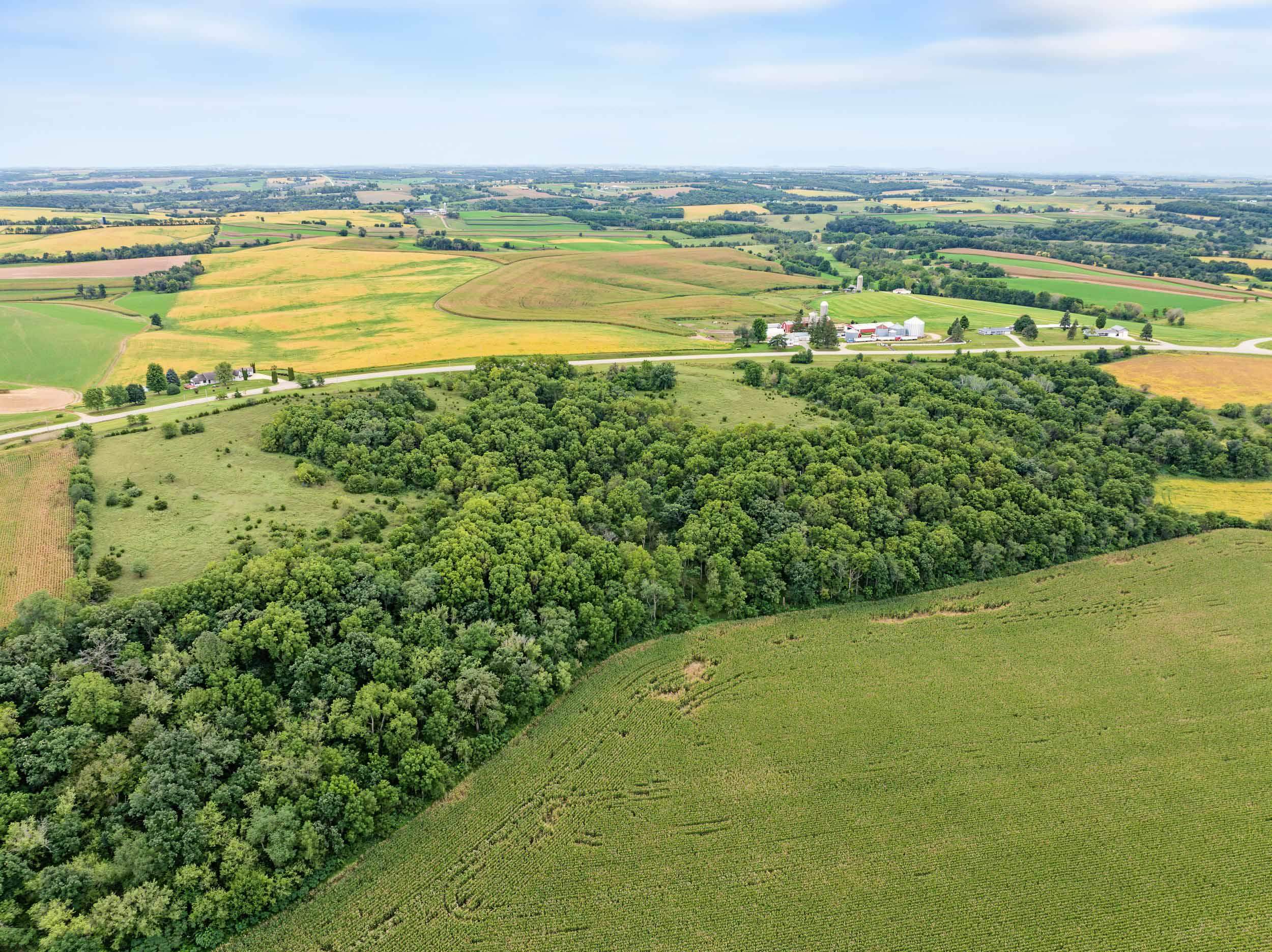 40 +/- Acres Highway 81 - Photo 3