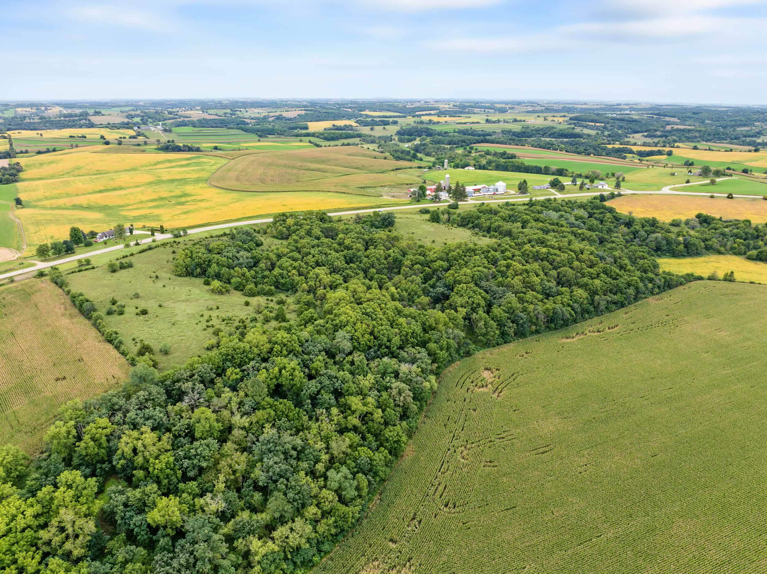 40 +/- Acres Highway 81 - Photo 2