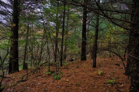 Tiny photo for 40+/- Acres Edgewood Drive, Adams, WI 53910 (MLS # 2010902)