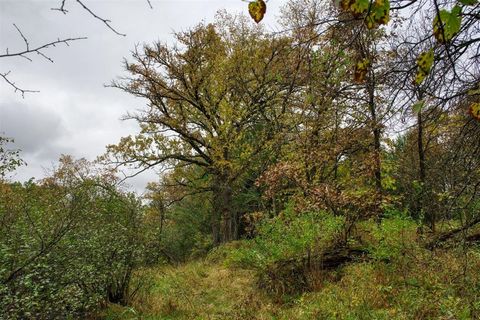 Tiny photo for 40+/- Acres Edgewood Drive, Adams, WI 53910 (MLS # 2010902)