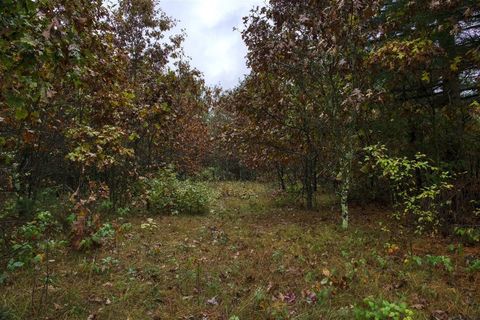 Tiny photo for 40+/- Acres Edgewood Drive, Adams, WI 53910 (MLS # 2010902)