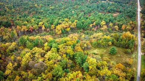 Tiny photo for 40+/- Acres Edgewood Drive, Adams, WI 53910 (MLS # 2010902)