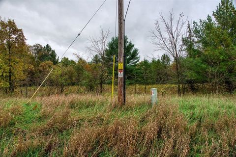 Tiny photo for 40+/- Acres Edgewood Drive, Adams, WI 53910 (MLS # 2010902)