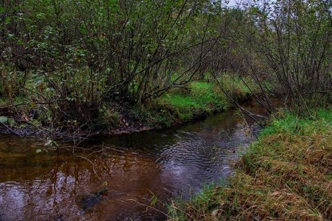 Tiny photo for 40+/- Acres Edgewood Drive, Adams, WI 53910 (MLS # 2010902)