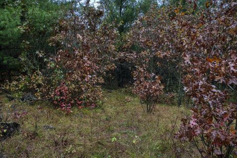 Tiny photo for 40+/- Acres Edgewood Drive, Adams, WI 53910 (MLS # 2010902)
