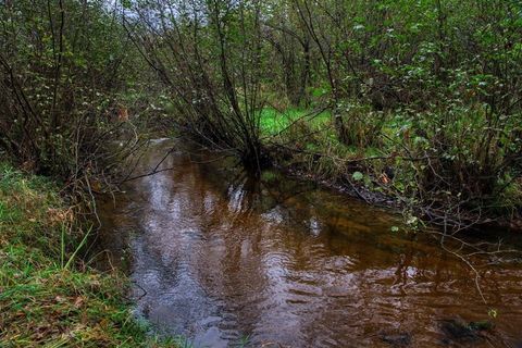 Tiny photo for 40+/- Acres Edgewood Drive, Adams, WI 53910 (MLS # 2010902)