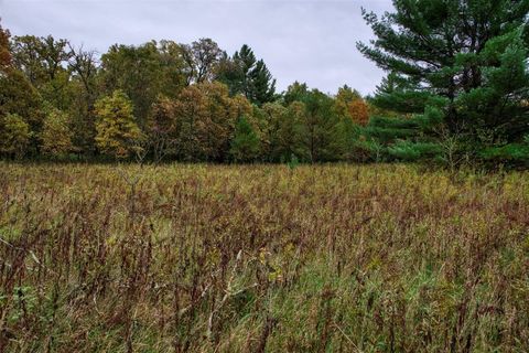 Tiny photo for 40+/- Acres Edgewood Drive, Adams, WI 53910 (MLS # 2010902)