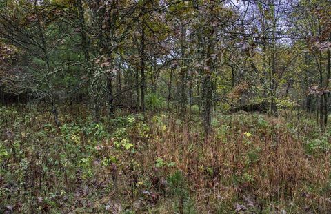 Tiny photo for 40+/- Acres Edgewood Drive, Adams, WI 53910 (MLS # 2010902)