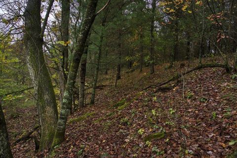 Tiny photo for 40+/- Acres Edgewood Drive, Adams, WI 53910 (MLS # 2010902)