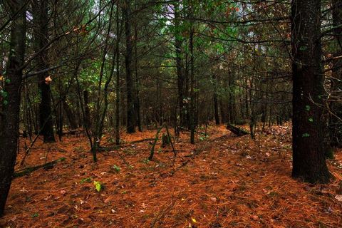 Tiny photo for 40+/- Acres Edgewood Drive, Adams, WI 53910 (MLS # 2010902)
