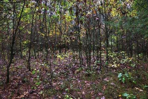 Tiny photo for 40+/- Acres Edgewood Drive, Adams, WI 53910 (MLS # 2010902)