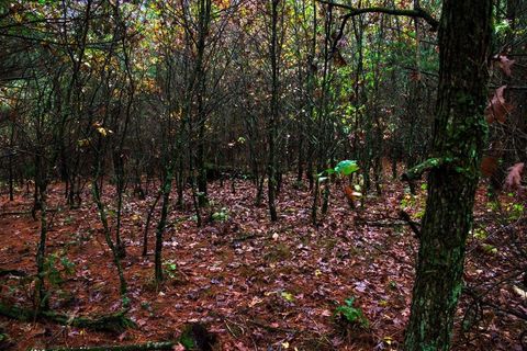 Tiny photo for 40+/- Acres Edgewood Drive, Adams, WI 53910 (MLS # 2010902)